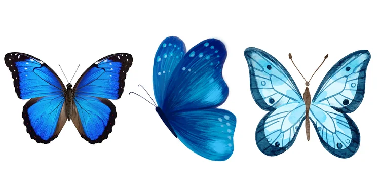 Borboleta Azul Para Imprimir - educação infantil (página 1)